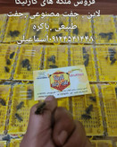 ملکه باکره کارنیکا پیوند شده از لاین وارداتی ترکیه